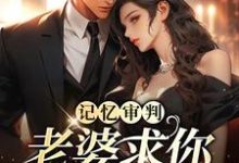 求助这本记忆审判：老婆求你看我一眼小说在哪里可以看完结版-阿优文学