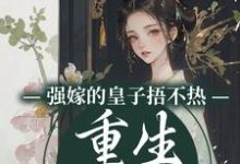 强嫁的皇子捂不热，重生她不要了热门小说(沈安安)在线阅读无弹窗-阿优文学