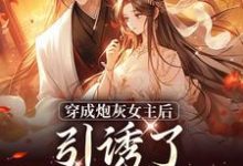 踹掉言情男主，勾搭男频帝王在线看，沈毓灵权明赫小说大结局在哪免费看-阿优文学