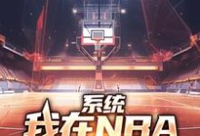 求助这本系统：我在NBA把把都超神小说在哪里可以看完结版-阿优文学