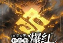玄学大佬开直播，爆红阴阳两界小说最新章节在哪里可以免费看-阿优文学