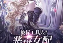 被标工具人？恶毒女配甩男主求自由免费阅读(宋以宁许继琛)小说免费读最新章节-阿优文学