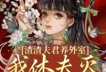 渣渣夫君养外室，我休夫灭妾另高嫁（萧时衍叶宛卿）最新章节免费在线阅读-阿优文学