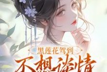 (全文)黑莲花驾到，不想谈情只想晋升热门小说排行榜，黑莲花驾到，不想谈情只想晋升宁司寒林妩全章小说阅读-阿优文学