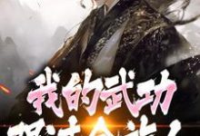 (全文)完了!我的武功强过全族人(林枫苏清雪)全本书籍阅读完了!我的武功强过全族人免费小说全本-阿优文学