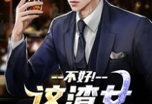 (全文)不好!这渣女要虐死了顾迟云云晚晚最新完结小说不好!这渣女要虐死了免费小说全本-阿优文学