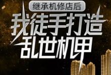 继承机修店后,我徒手打造乱世机甲推荐完结小说,继承机修店后,我徒手打造乱世机甲苏白苏南天免费小说全本-阿优文学