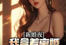 新婚夜，我拿着离婚协议黯然离场热门小说排行榜新婚夜，我拿着离婚协议黯然离场叶修远白若雪免费小说全本-阿优文学