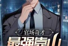 (全文)官场奇才：最强靠山竟是我自己（李霖）全本书籍阅读官场奇才：最强靠山竟是我自己免费小说全本-阿优文学