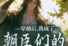 穿越后,我成了朝臣们的心头宠推荐完结小说穿越后,我成了朝臣们的心头宠(夜阮阮陈烟儿)免费小说全本-阿优文学