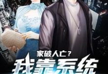 (全文)家破人亡?我靠系统儿孙满堂柳若澜许良小说推荐,家破人亡?我靠系统儿孙满堂全章小说阅读-阿优文学