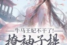 牛马王妃不干了！撩袖子提和离独美完整版小说，牛马王妃不干了！撩袖子提和离独美萧北策云初七试读更新章节-阿优文学