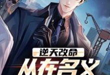 逆天改命，从在名义当秘书开始完整版小说，逆天改命，从在名义当秘书开始陈正泽祁同伟试读更新章节-阿优文学
