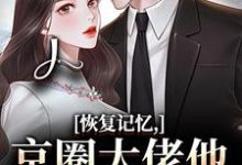 沈梨初裴聿恢复记忆,京圈大佬他疯狂宠妻全本免费在线阅读-阿优文学