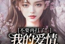 (全文)不要再打了！我的爱情我自己选完结小说推荐苏暖裴撤全本书籍阅读-阿优文学