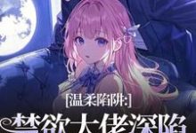 (全文)温柔陷阱：禁欲大佬深陷追妻修罗场温荣仓央嘉措全本免费在线阅读-阿优文学