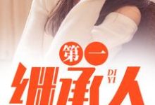 第一继承人徐飞试读更新章节第一继承人徐飞免费小说-阿优文学