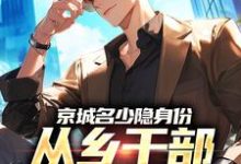 京城名少隐身份，从乡干部开始逆袭完整版小说京城名少隐身份，从乡干部开始逆袭(谢斌裴靖泽)全章小说阅读-阿优文学