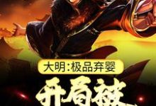 大明:极品弃婴,开局被老朱捡回家朱炫最新完结小说,大明:极品弃婴,开局被老朱捡回家全本免费在线阅读-阿优文学