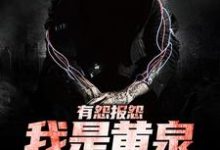 有怨报怨，我是黄泉摆渡人最新完结小说有怨报怨，我是黄泉摆渡人云渺免费小说-阿优文学