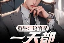 重生：这官是一天都不想当了完整版小说重生：这官是一天都不想当了(梁惟石唐欣怡)全章小说阅读-阿优文学