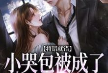 (全文)将错就错:小哭包被成了大佬心尖宠(慕汀洲姜桃)免费小说将错就错:小哭包被成了大佬心尖宠试读更新章节-阿优文学