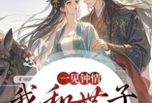 一见钟情，我和世子天生一对完整版小说，一见钟情，我和世子天生一对沈如风苏云锦全章小说阅读-阿优文学