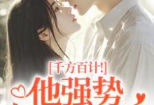 千方百计！他强势夺我闪婚完整版小说，千方百计！他强势夺我闪婚南昭沙赫试读更新章节-阿优文学