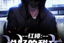 红楼：说好的甜文咋变恐怖文了（齐洛）全章小说阅读-阿优文学