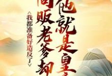 (全文)我都准备好造反了，商贩老爹却说他就是皇帝？嬴政赵牧小说推荐，我都准备好造反了，商贩老爹却说他就是皇帝？全章小说阅读-阿优文学