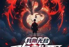 我刚无敌，你就要跟我退婚？最新完结小说我刚无敌，你就要跟我退婚？苏阳免费小说-阿优文学