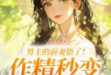 (全文)男主的前妻悟了!作精秒变粘人精许岁宁霍青山最新完结小说男主的前妻悟了!作精秒变粘人精免费阅读-阿优文学
