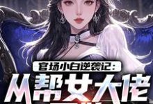 唐诚李文静官场小白逆袭记:从帮女大佬开始全本免费在线阅读-阿优文学