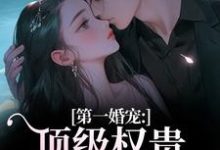 第一婚宠:顶级权贵追妻火葬场完整版小说,第一婚宠:顶级权贵追妻火葬场叶惊兰薄戎淮全章小说阅读-阿优文学