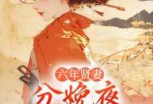 六年贤妻，分娩夜心死换和离姜玉筝沈宴沉完结小说推荐六年贤妻，分娩夜心死换和离全本书籍阅读-阿优文学
