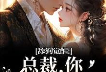 舔狗觉醒:总裁,你只是个替身(许瑾禾裴景之)全章小说阅读-阿优文学