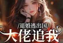 退婚逃出国，大佬追我满世界跑最新章节阅读退婚逃出国，大佬追我满世界跑(江野崎楚灵兮)试读更新章节-阿优文学
