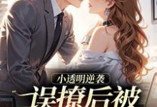 小透明逆袭完整版小说小透明逆袭(许惟昭方肃礼)全章小说阅读-阿优文学
