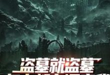 吴邪白小白盗墓就盗墓,怎么都在调查我全本免费在线阅读-阿优文学