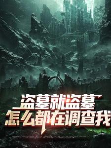 吴邪白小白盗墓就盗墓，怎么都在调查我全本免费在线阅读