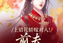 上错花轿嫁对人最新章节阅读上错花轿嫁对人(萧念窈陆奉行)试读更新章节-阿优文学