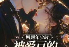 (全文)回到年少时,被爱豆的死对头盯上了初夏全本免费在线阅读-阿优文学