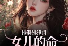 (全文)极限报仇!女儿的命你拿什么还(陆瑾心傅砚辞)全本书籍阅读极限报仇!女儿的命你拿什么还免费小说全本-阿优文学
