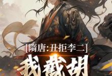 隋唐：丑拒李二，我截胡众枭雄李渊吴缺完结小说推荐，隋唐：丑拒李二，我截胡众枭雄全章小说阅读-阿优文学