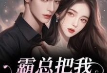 霸总把我当替身后，他真的后悔了白筱帆盛延试读更新章节霸总把我当替身后，他真的后悔了白筱帆盛延免费小说-阿优文学