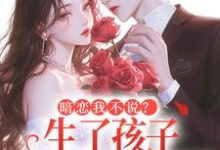 暗恋我不说？生了孩子我才知跑不掉（周京年陈禾）全本书籍阅读暗恋我不说？生了孩子我才知跑不掉完整版小说-阿优文学