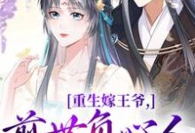 (全文)重生嫁王爷，前世负心人竟是我？沈挽谢景御全本免费在线阅读-阿优文学