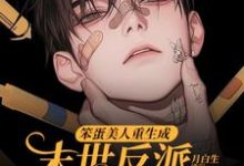 (全文)笨蛋美人重生成末世反派的男友后（沈绵叶瑾修）免费小说笨蛋美人重生成末世反派的男友后试读更新章节-阿优文学