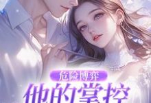 (全文)危险博弈：他的掌控与她的反杀(叶时欢)全本免费在线阅读-阿优文学
