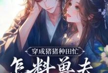 穿成猪猪种田忙，怎料兽夫太黏猪（穆九溪）全章小说阅读-阿优文学